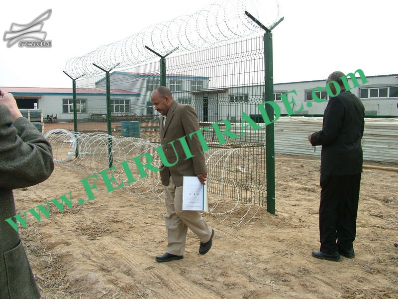 Welded Wire Euro Fence