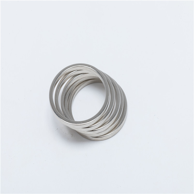 Wholesale High Quality Permanent Neodymium Magnetic Ring Magnet