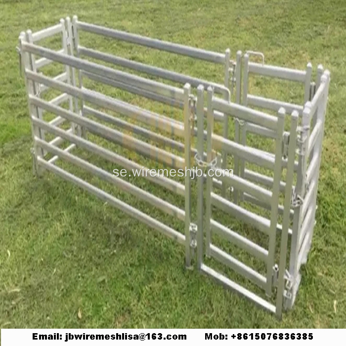 Hot Dipped Galvaniserad Metal Horse Fence Panel