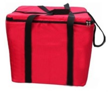Disposable Picnic Cooler Bags?