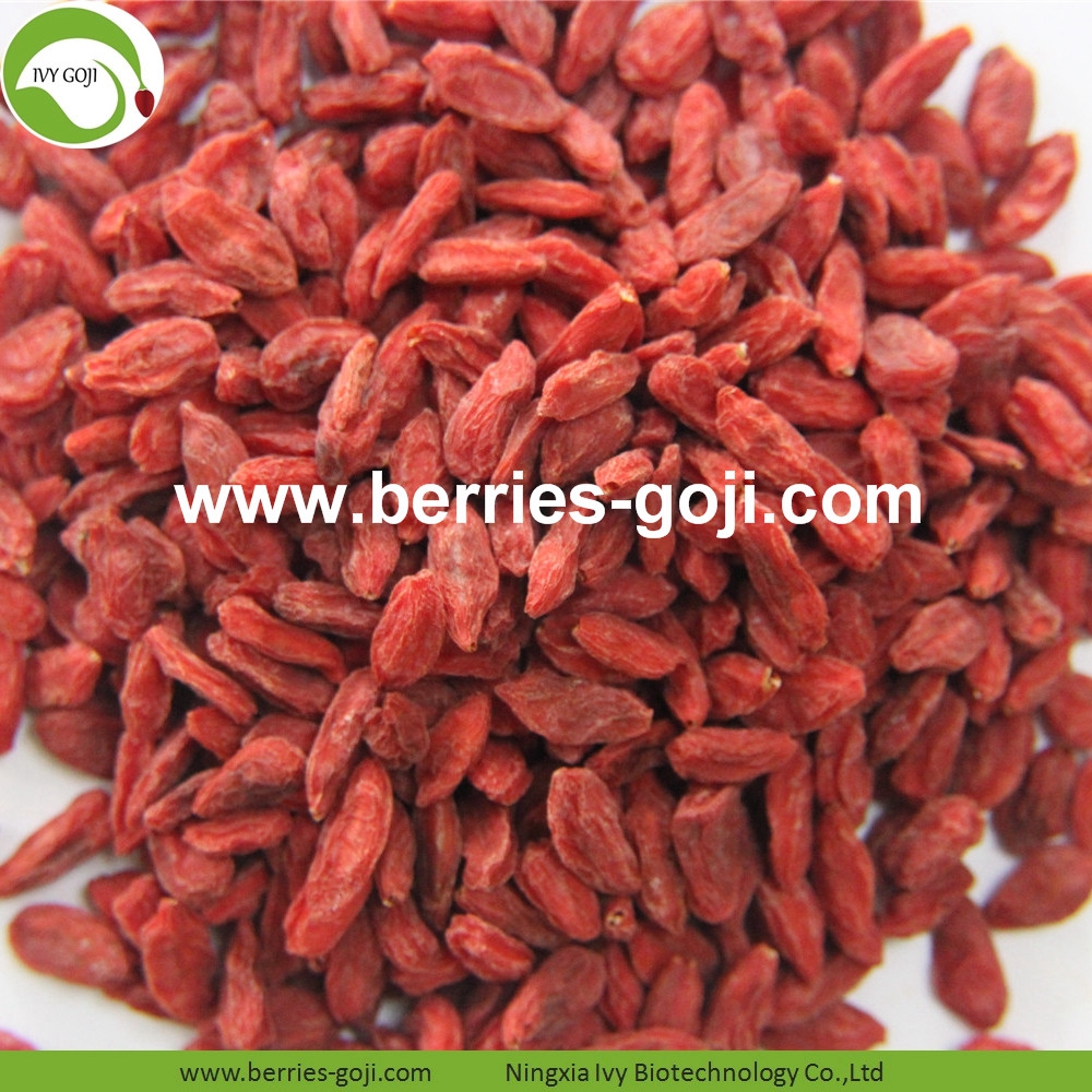 goji berry