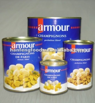 mushroom in can