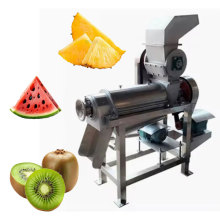 Professional Watermelon and Fruit Juice Extraction Machine