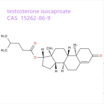 Steroids Testosterone Isocaproate 15262-86-9