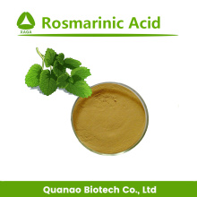 Lemon Balm Extract Rosmarínico Pó 2% -10% HPLC