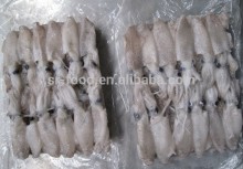 frozen sea fish baby squid