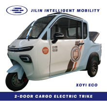 Best motorized tricycle for adults