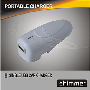 2 IN 1 CAR CHARGER