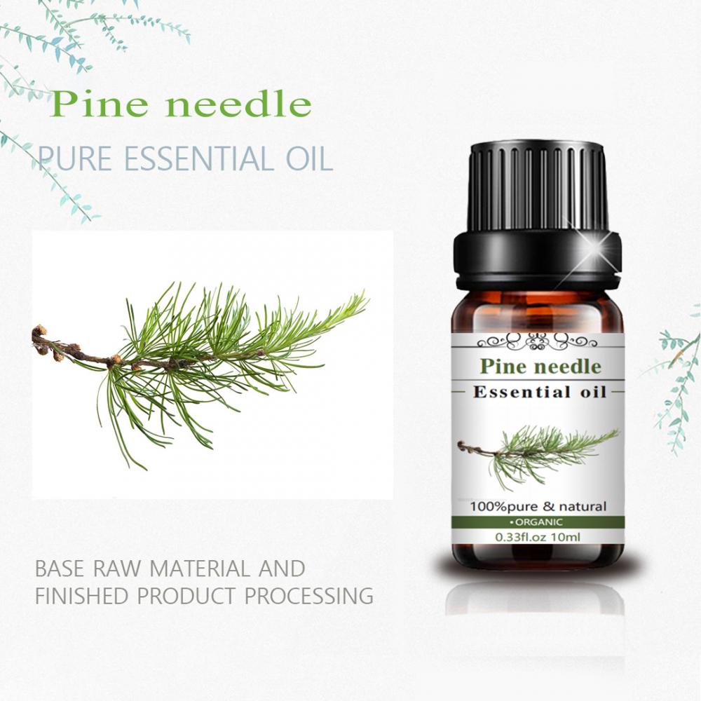 High Quality Essential Oil Pine needle oil for sale