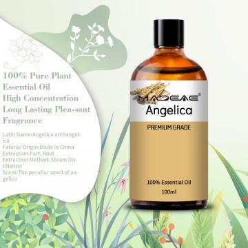 Pure Nature Angelica Oil Destilación de vapor para suavizar el masaje