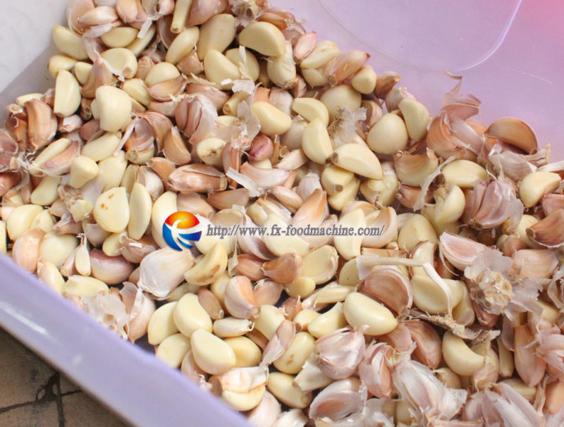 Industrial Stainless Steel Eletric Garlic Bulk Separating Breaking Machine Equipment (FX-139)