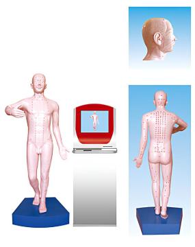Multimedia teaching and clinical application system standard acupuncture and moxibustion person