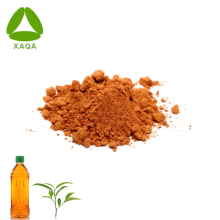 Organic ISO9001 Antioxidant Green Tea Extract Powder 10:1