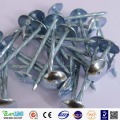 Galvanised Roofing nail with umbrella head