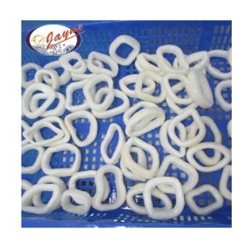 Jayne Factory price fresh packed squid ring