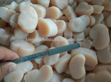 Frozen scallop meat Comb Pen Shell