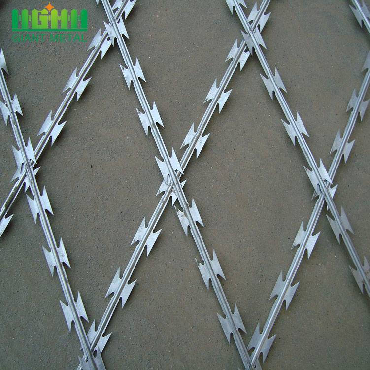 Galvanized Razor Barbed Wire fence