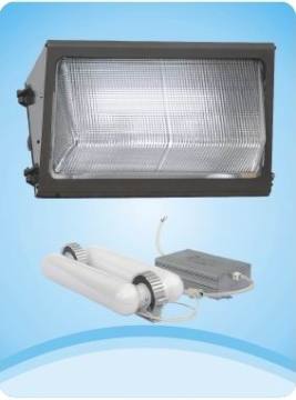 Inductive Wall Pack Lamp