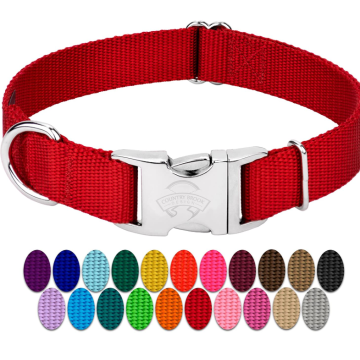 Premium Nylon Dog Collar z metalową klamrą