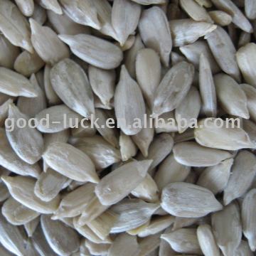 Sunflower Seeds Kernel