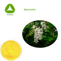 Natrual Ingredients Sophora Japonica Extract Quercetin 98%