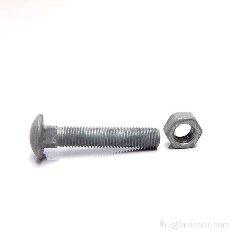 Zoll Stol Round Head Galvanized Carriage Bolt