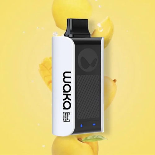 Waka Sopro PA10000 Blueberry Raspberry Vape Talk включен