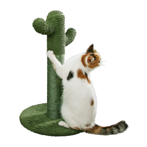 Cat Scratching Post with Teaser Ball