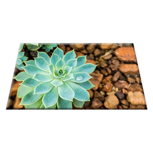 printed flannel door mat