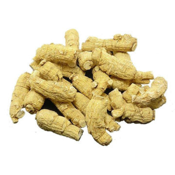 American ginseng roots