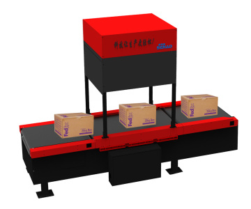 DWS System Barcode Scanner on Belt Conveyor for Logistic Parcel Scanning