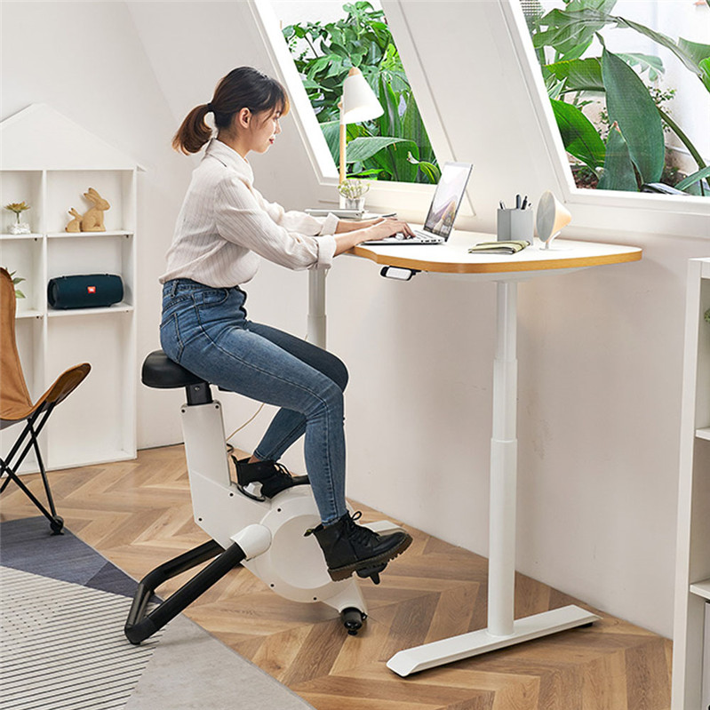Adjustable Standing Desk Home Office Desk