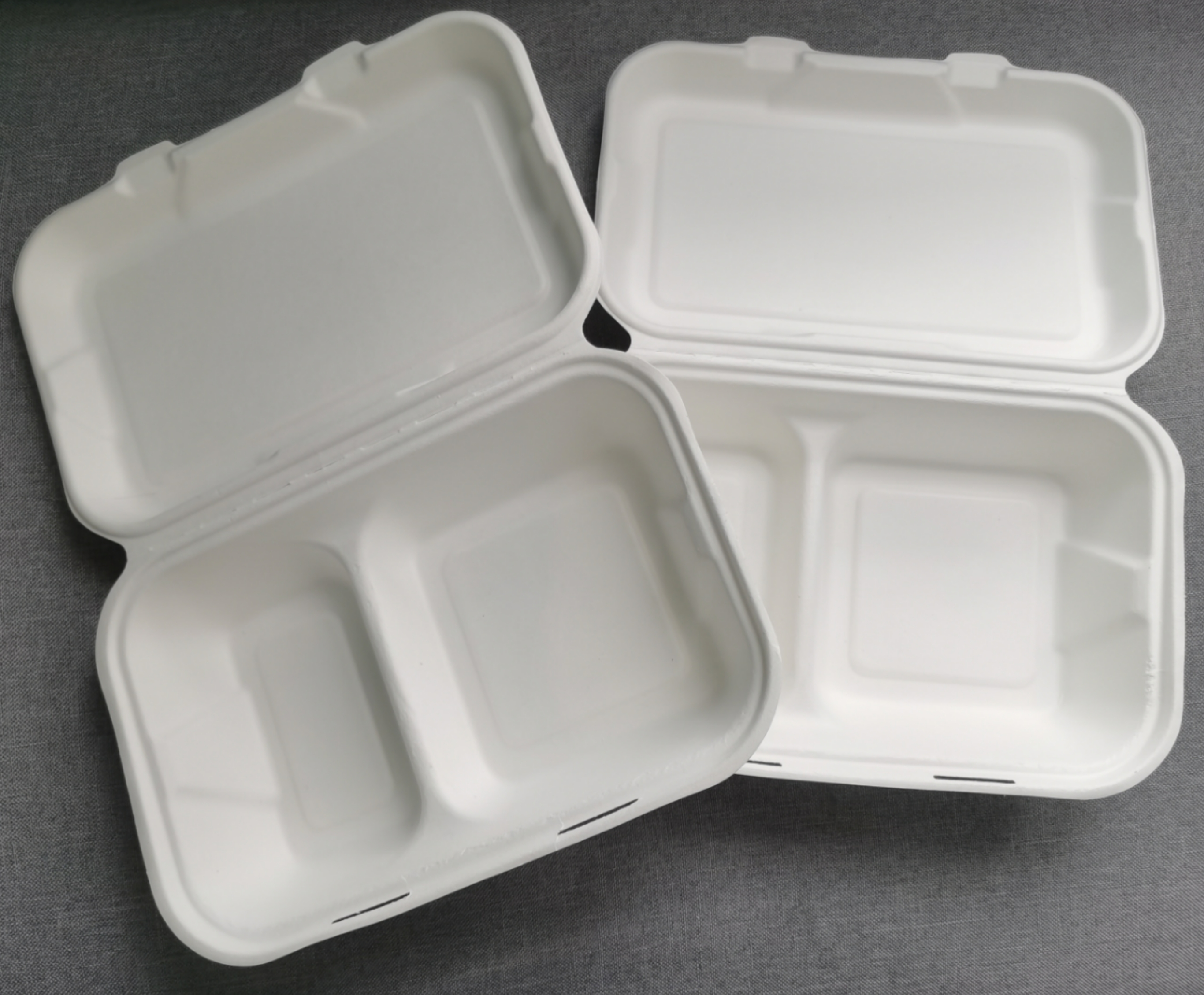 Compostable Lunch Box