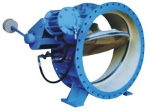 Butterfly Buffering Check Valve