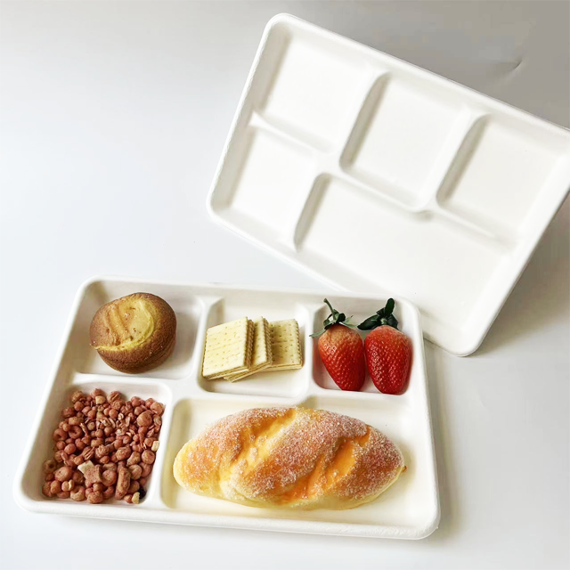 bagasse food tray