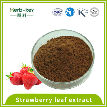 Soothing Skin Strawberry leaf extract Strawberry polyphenols