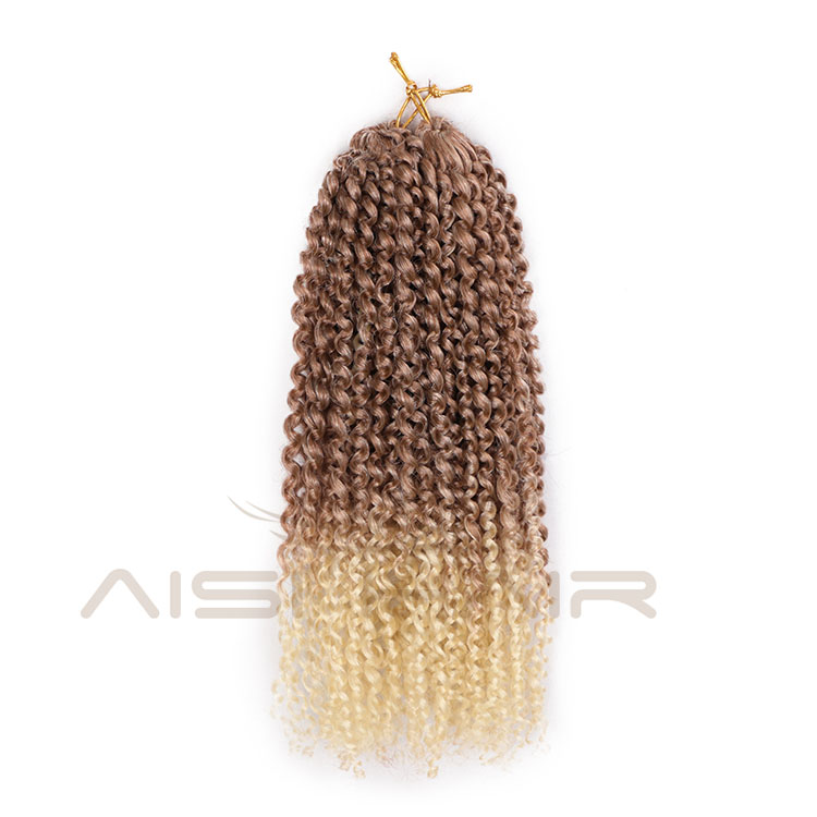 Aisi Hair Afro Curly Ombre Blonde Dark Root Synthetic Marly Braiding Hair Extensions Crochet Hairpiece Braids For Black Women