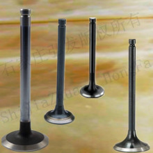 America Series car engine valve for GM