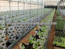 plastic strawberry planter