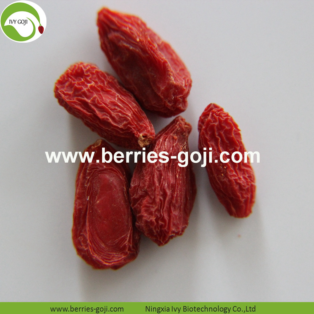 Malaysia Goji 