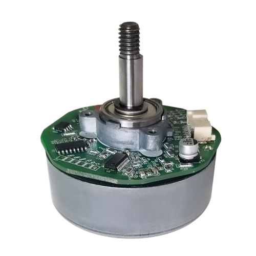 Carbon DC Brush Motor, 24V DC Brush Motor & 24 Volt DC Brushed Motor Customizable