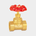 About Brass Globe Valve