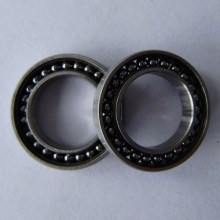 Max type bearing