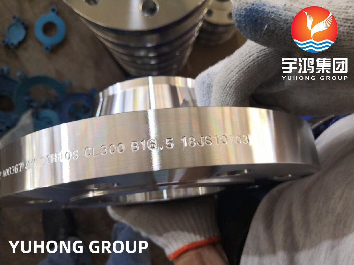 ASTM B462 ALLOY 8367 FLANGE (5)