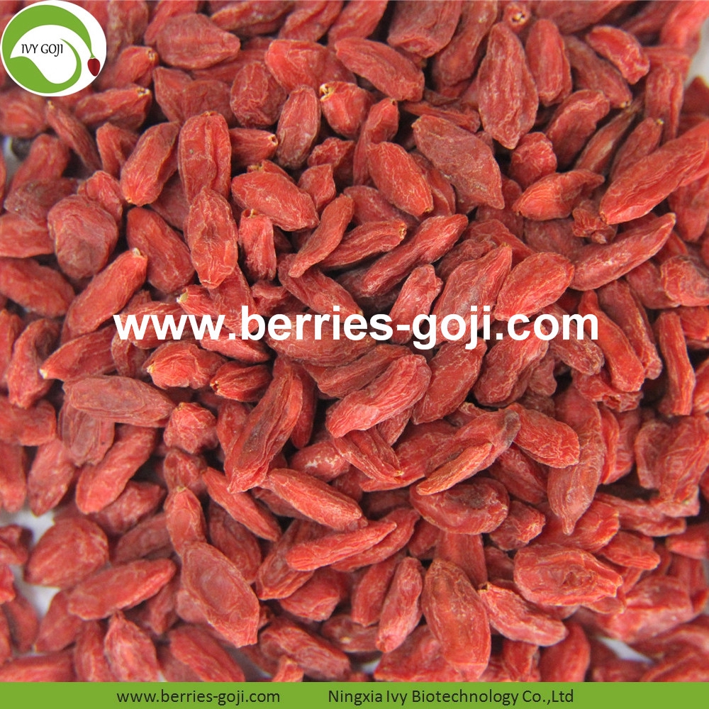 Organisch getrocknetes Lycium Organic Dried Lycium