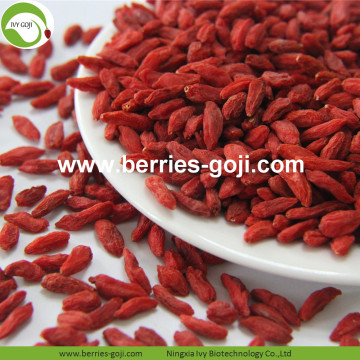 Factory Supply Wholesale Nutrition Dried Wolfberry Organic