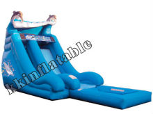 dolphin inflatable water slide with pool