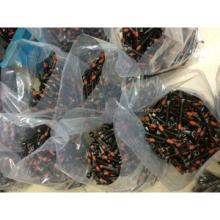 bolt with PHOS & OIL