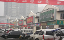 Outdoor Prisma Vision