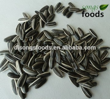 Bulk Bird Seed Suppliers Wholesale Bird Seed